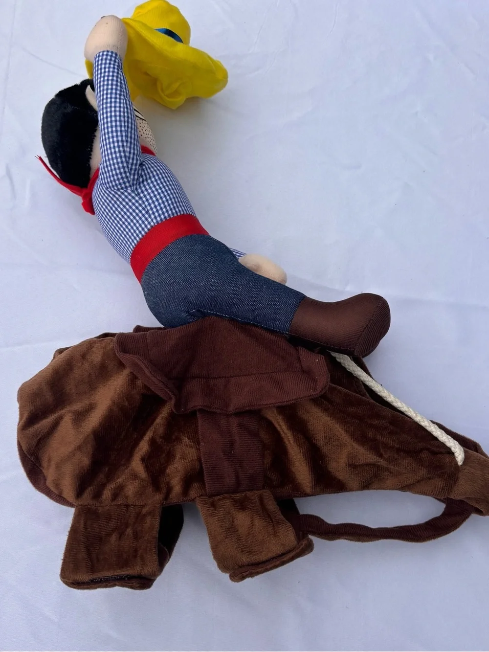 Cowboy rider dog costume